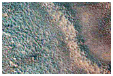 Marginal Ramparts within the Uppermost North Polar Layered Deposits