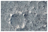 Flows and Craters in Elysium Planitia