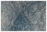 Northern Plains Sample