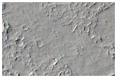 Sample of Amazonis Planitia