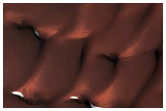 North Polar Crater Dune Changes