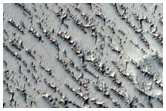 Field of Transverse Aeolian Ridges with Superposed Impact Craters