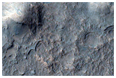 Ravi Vallis