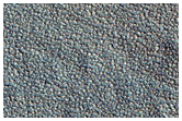 Northern Plains Terrain
