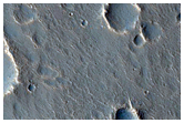 Albedo Boundary in Utopia Rupes