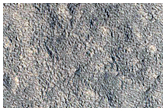Stratigraphy of Wall in Mamers Valles Crater with Possible Phyllosilicate