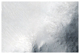 Proposed Site for Future Exploration in Cerberus Palus