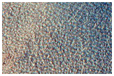 Terrain Sample