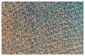 Polar Crater with Summer Ice