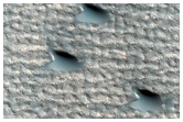 Possible Hydrated Minerals