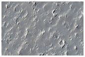 Daedalia Planum Crater Rim