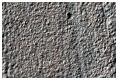 Small Crater within Arrhenius Crater