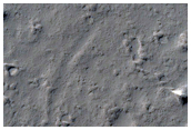 Curved Inlet in East Bank of Mangala Valles