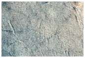 Gully Monitoring