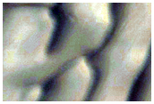 Polar Erg Margin Changes