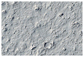 Flow Margins in Eastern Elysium Planitia