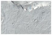 Vents and Flows in Elysium Planitia Flood Lava