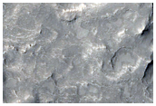 Well-Exposed Impact Ejecta