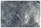 Periglacial Surface Sample