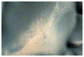 Dune Monitoring in the North Polar Region