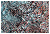 Gullies in Crater in Hellas Planitia
