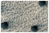 Search for Secondary Craters from Lonar Crater