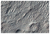 Possible Olivine-Rich Terrain