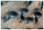 North Polar Terrain
