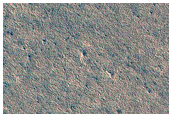 Northern Plains