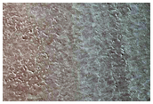 Korolev Crater