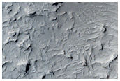 Possible Phyllosilicates in the Medusae Fossae Formation