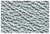 Monitoring Evolution of North Polar Residual Cap