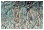Possible Hydrated Silicates within Layered Deposits of Capri Chasma
