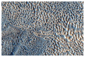 Terrain Changes in Utopia Planitia