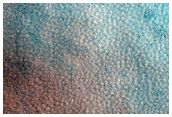 Mottled Region