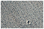 Terrain Sample