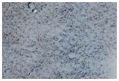 Terrain Sample