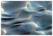 Dunes with Bright-Dark-Bright Bands Dubbed Buzzel