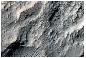 Rocky Deposit or Bedrock Exposure