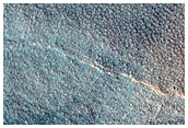 Gullied Crater Wall with Polygons