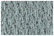 North Polar Residual Cap Monitoring