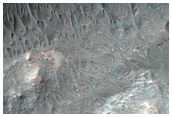 Light-Toned Layered Deposits in Ladon Valles