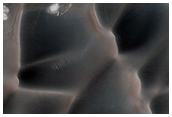 North Polar Gypsum Dune Changes