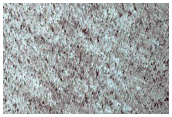 Small Crater on North Polar Deposits