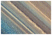 North Polar Seasonal Streaks