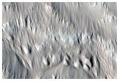 Valleys on the Western Flank of Hecates Tholus