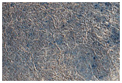 Polar Crater with Summer Ice