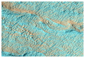Volatiles and Gullies in Wirtz Crater