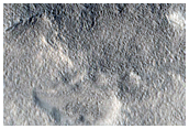 Utopia Planitia Terrain