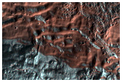 Monitor Gullies on Equator-Facing Slope in Asimov Crater